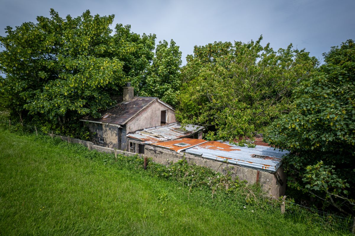 Lot Image