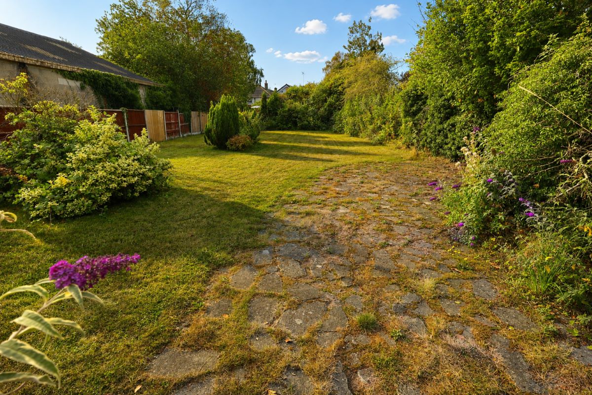 Lot Image