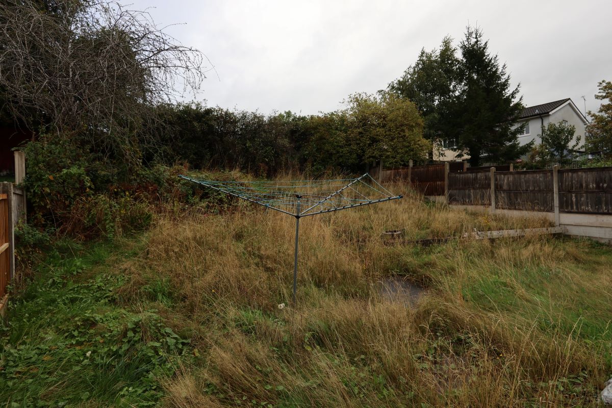 Lot Image