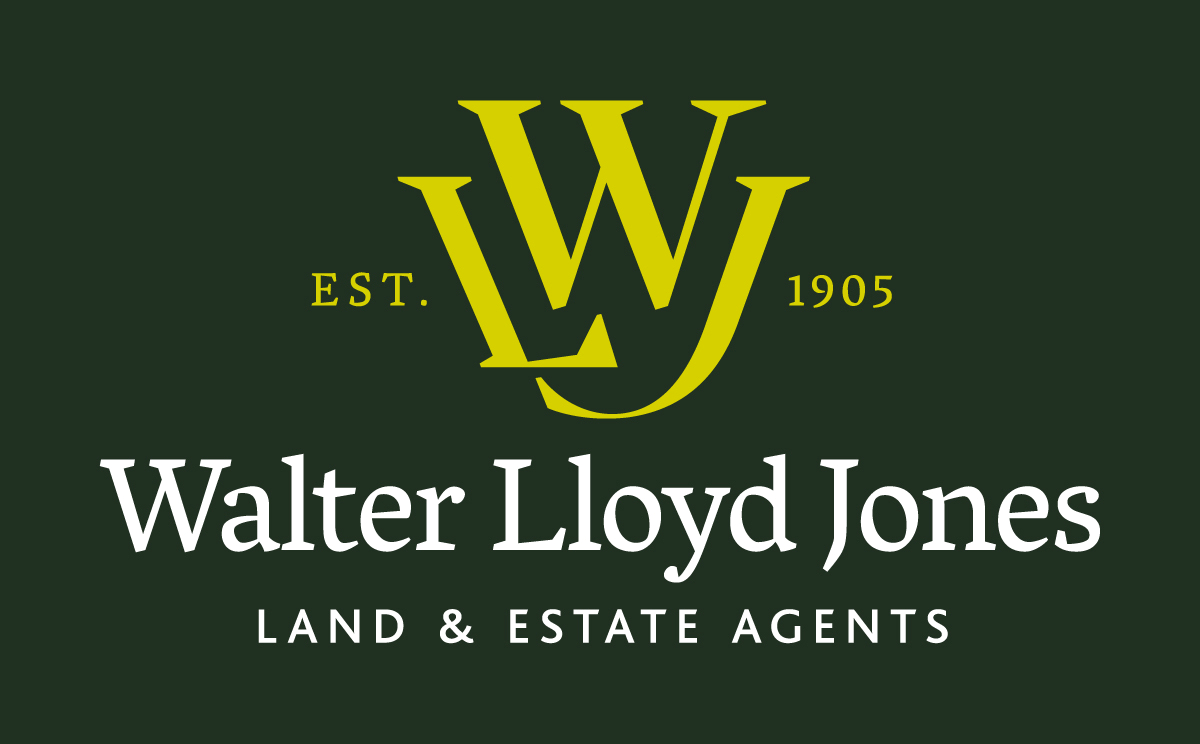 Walter Lloyd Jones