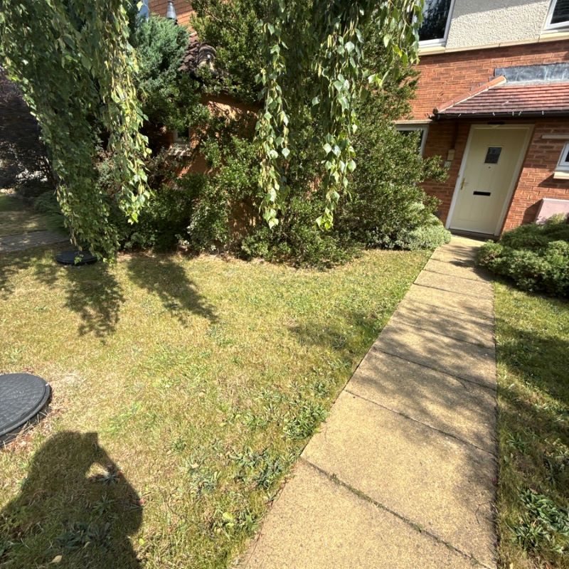 Lot Image