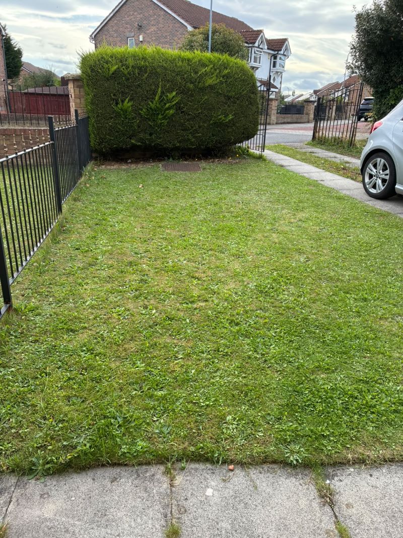 Lot Image