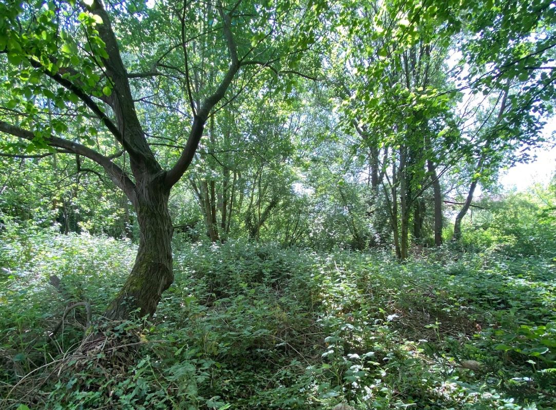 Primary Lot Photo