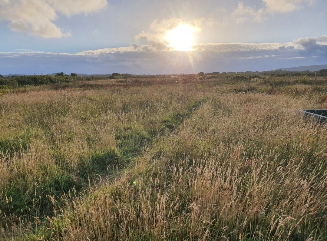 Plot 2 Land Off Stony Lane, Boundary Drain, Braunton, Devon, EX33 2NY