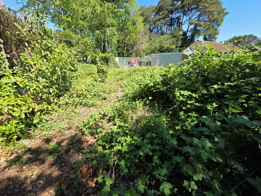 Lot Image