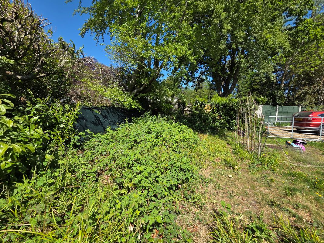 Lot Image
