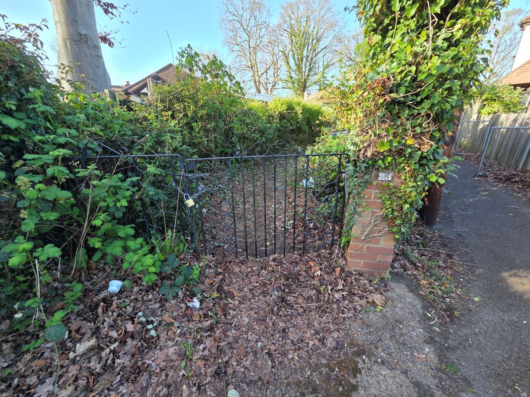 Lot Image