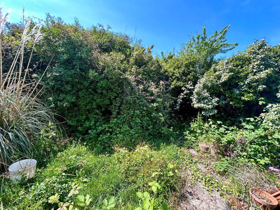 Lot Image