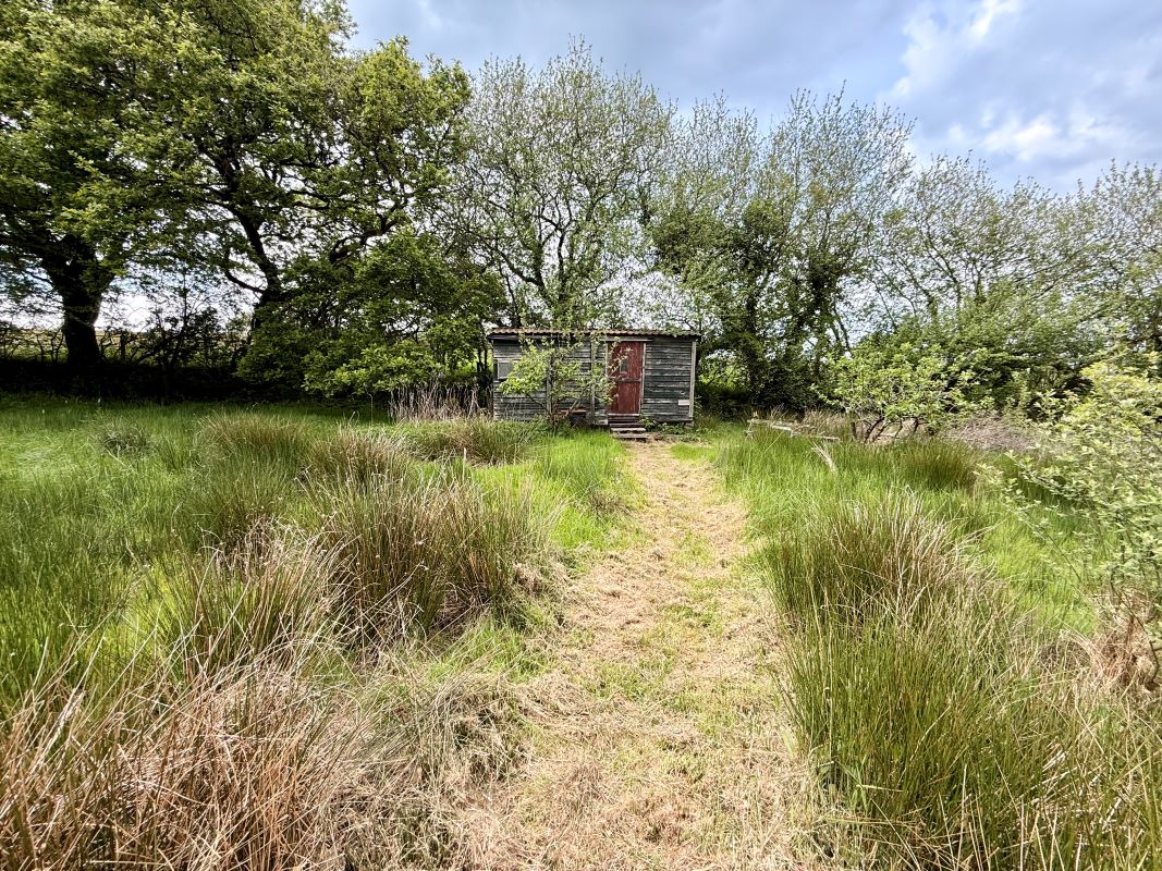 Lot Image