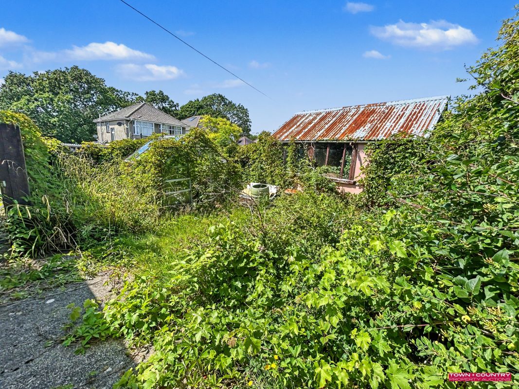 Lot Image