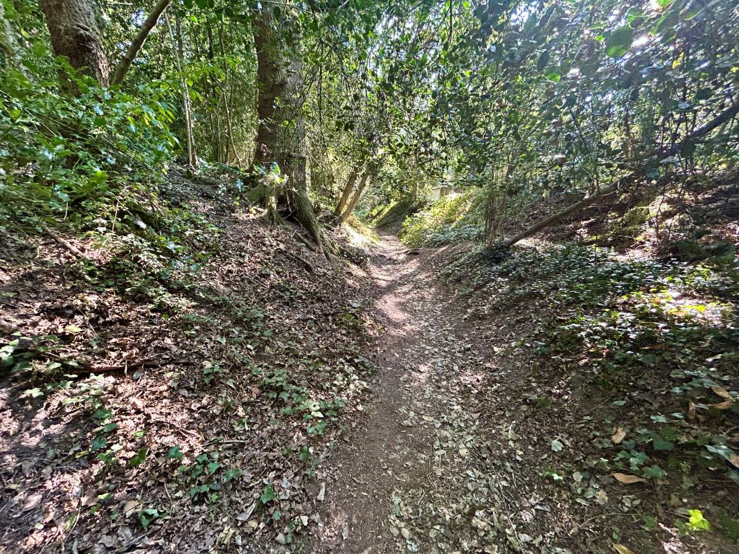 Lot Image