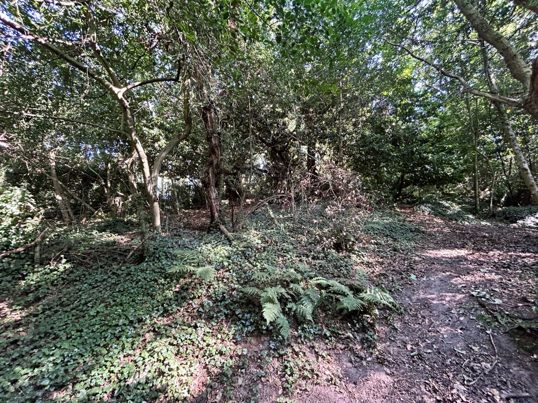Lot Image