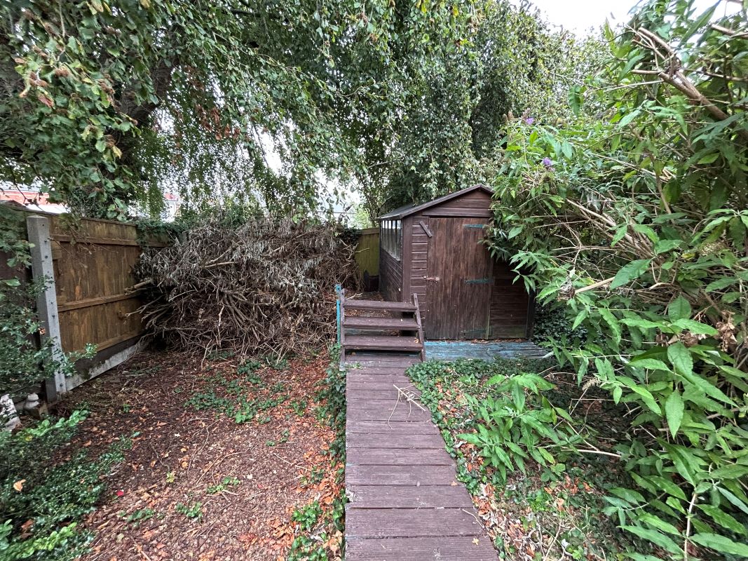 Lot Image