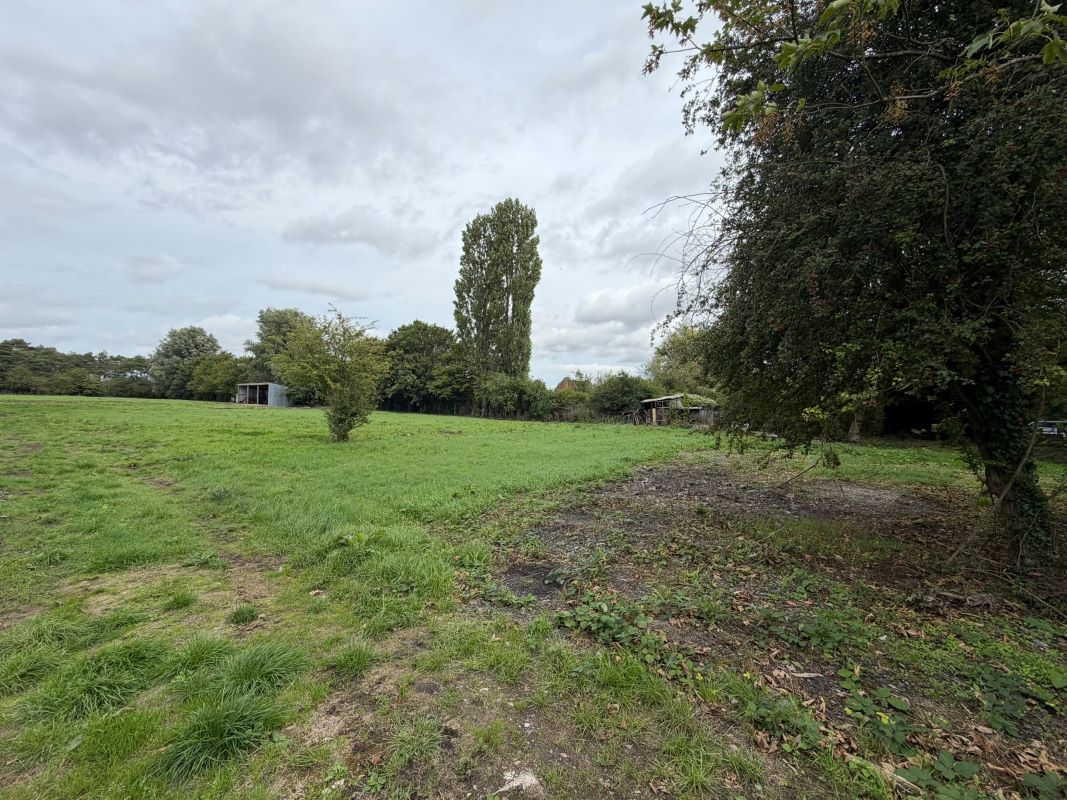 Lot Image