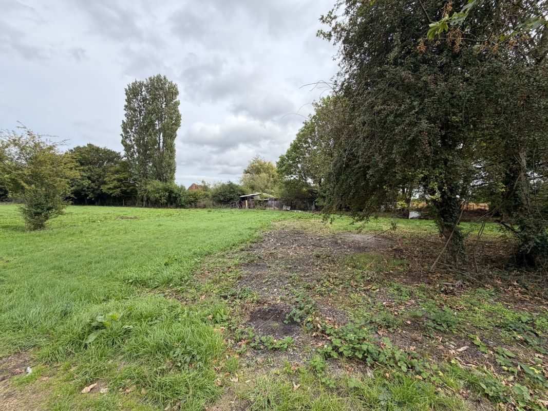 Lot Image