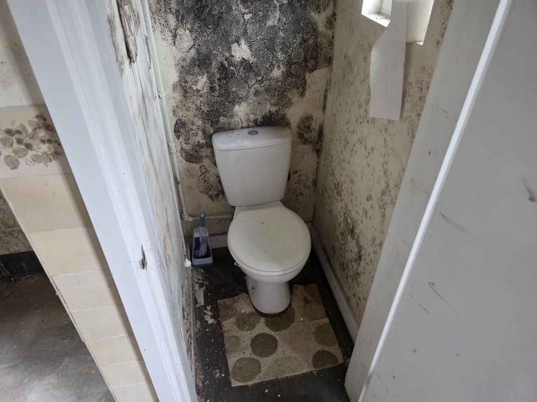 Number 17
