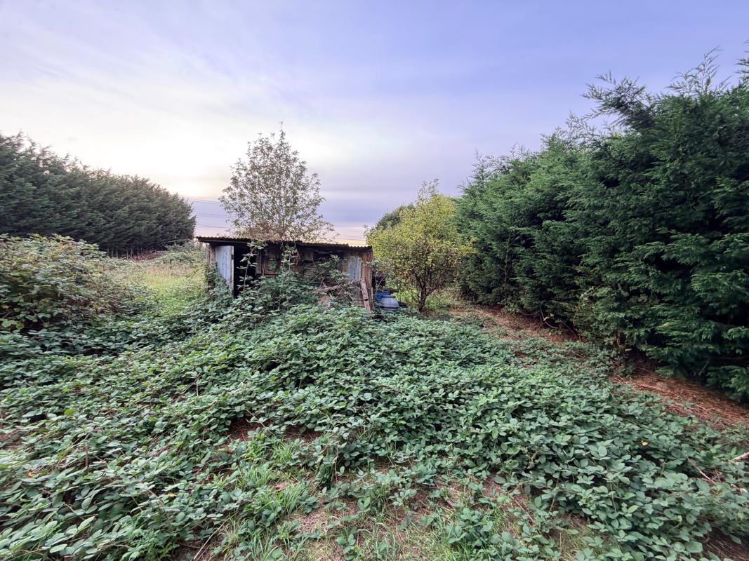Number 4