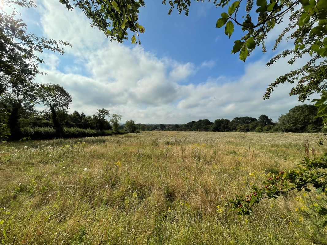 Land at Drayton Road, Newton Longville, Milton Keynes, Buckinghamshire