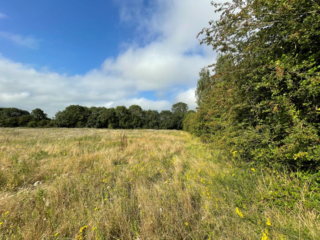 Land at Drayton Road, Newton Longville, Milton Keynes, Buckinghamshire