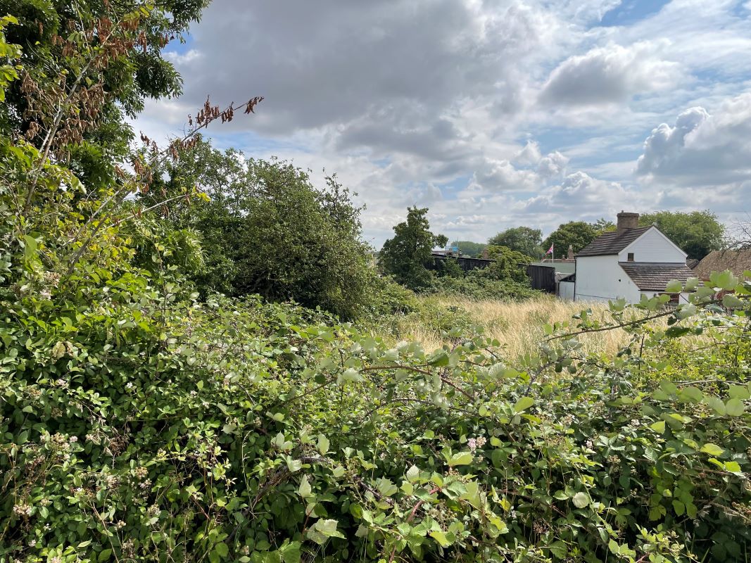 Lot Image