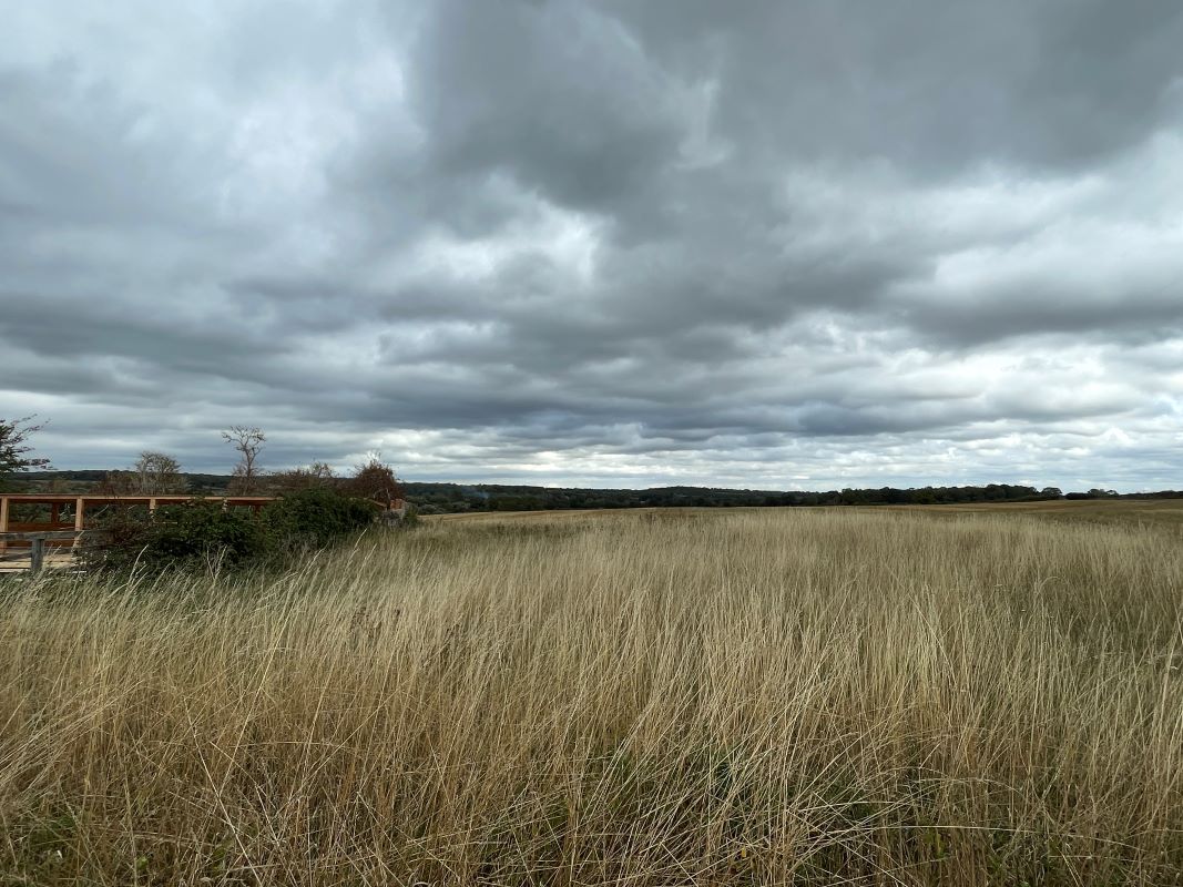 Land Opposite Hill Farm, Felmersham Road, Carlton, Bedfordshire, MK43 7NA