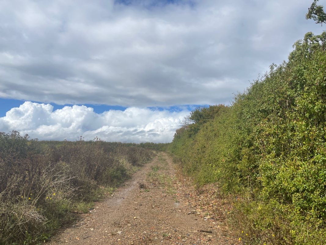 Paddock at Church End Farm, Church End, Thurleigh, Bedfordshire, MK44 2DA