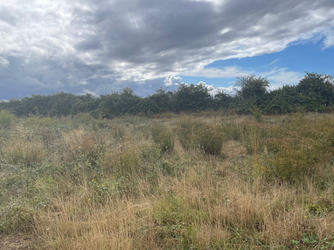 Paddock at Church End Farm, Church End, Thurleigh, Bedfordshire, MK44 2DA