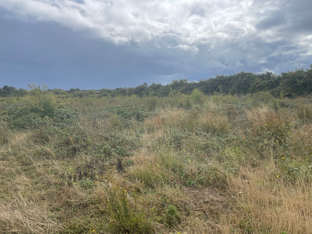 Paddock at Church End Farm, Church End, Thurleigh, Bedfordshire, MK44 2DA