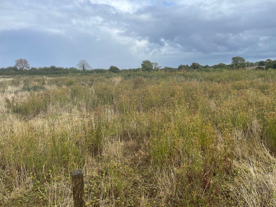 Paddock at Church End Farm, Church End, Thurleigh, Bedfordshire, MK44 2DA