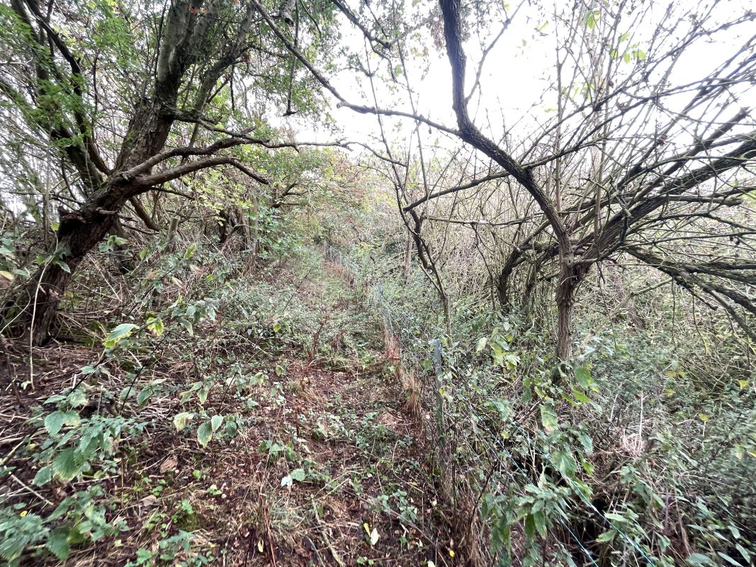 Land Opposite Hill Farm, Felmersham Road, Carlton, Bedfordshire, MK43 7NA