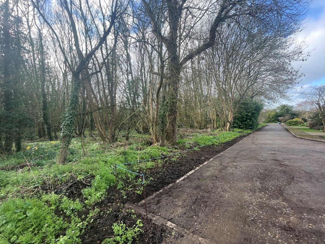 Land adjacent to The Avenue, Stanton Fitzwarren, Wiltshire, SN6 7SE