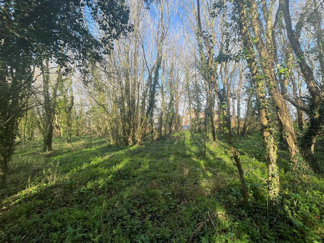 Land adjacent to The Avenue, Stanton Fitzwarren, Wiltshire, SN6 7SE