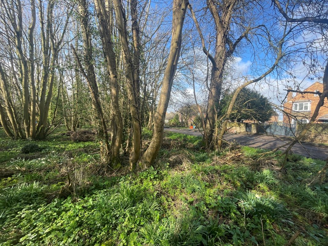Land adjacent to The Avenue, Stanton Fitzwarren, Wiltshire, SN6 7SE
