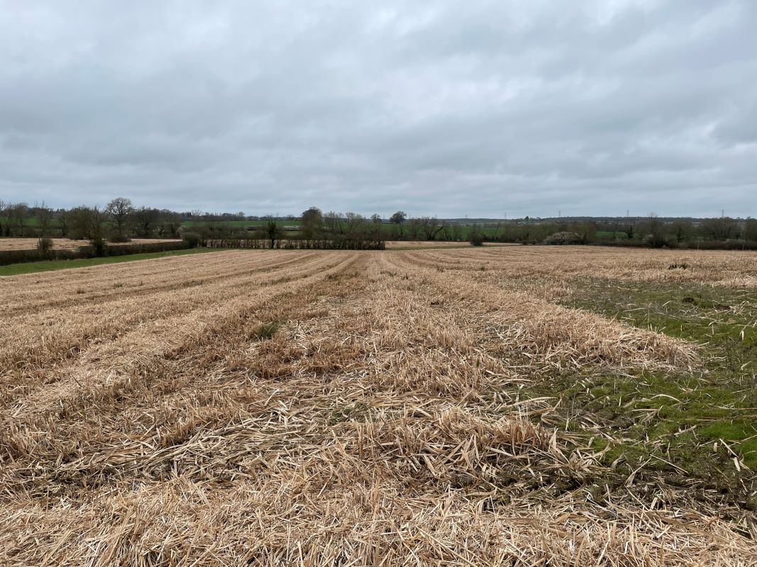 Plot 1, Land at Lillingstone Road, Akeley, Buckinghamshire, MK18 5HZ