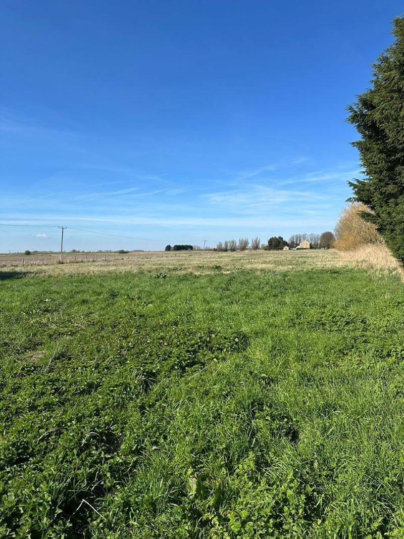 Land and Barns Adjacent to St Peters Farm, Middle Drove, Wisbech, Cambridgeshire, PE14 8JT