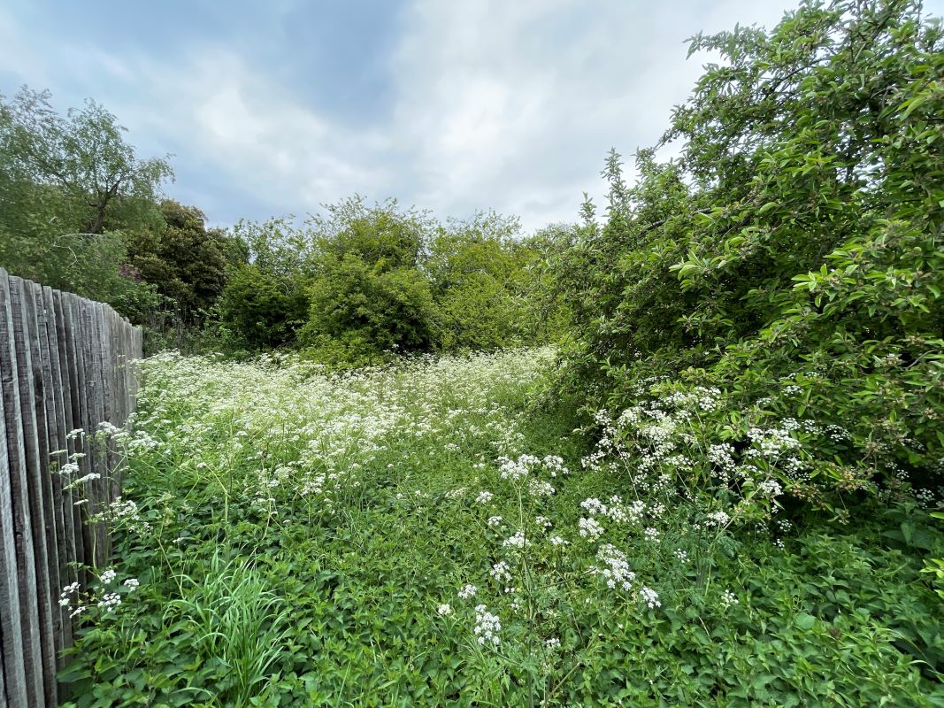 Land East of Dove Lane, Harrold, Bedfordshire, MK43 7DF