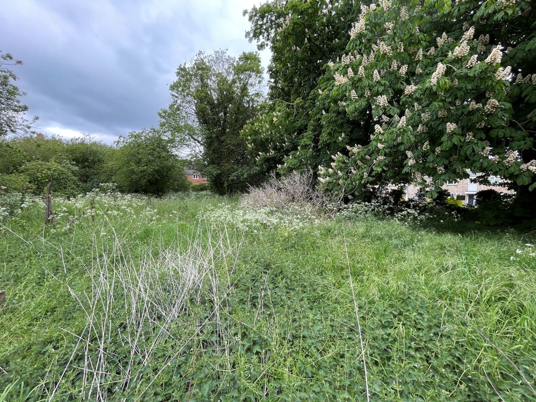 Land East of Dove Lane, Harrold, Bedfordshire, MK43 7DF