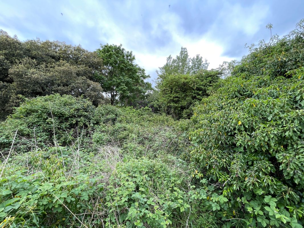 Land East of Dove Lane, Harrold, Bedfordshire, MK43 7DF