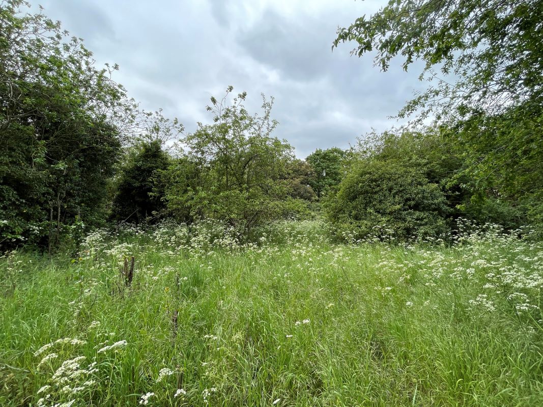 Land East of Dove Lane, Harrold, Bedfordshire, MK43 7DF