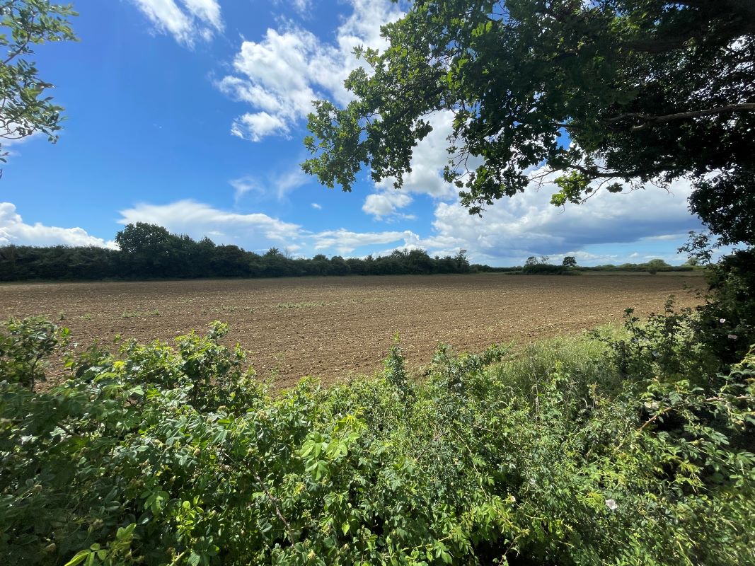 Plot 1, Land South side of Kimbolton Road, Bolnhurst, Bedfordshire, MK44 2EY property image