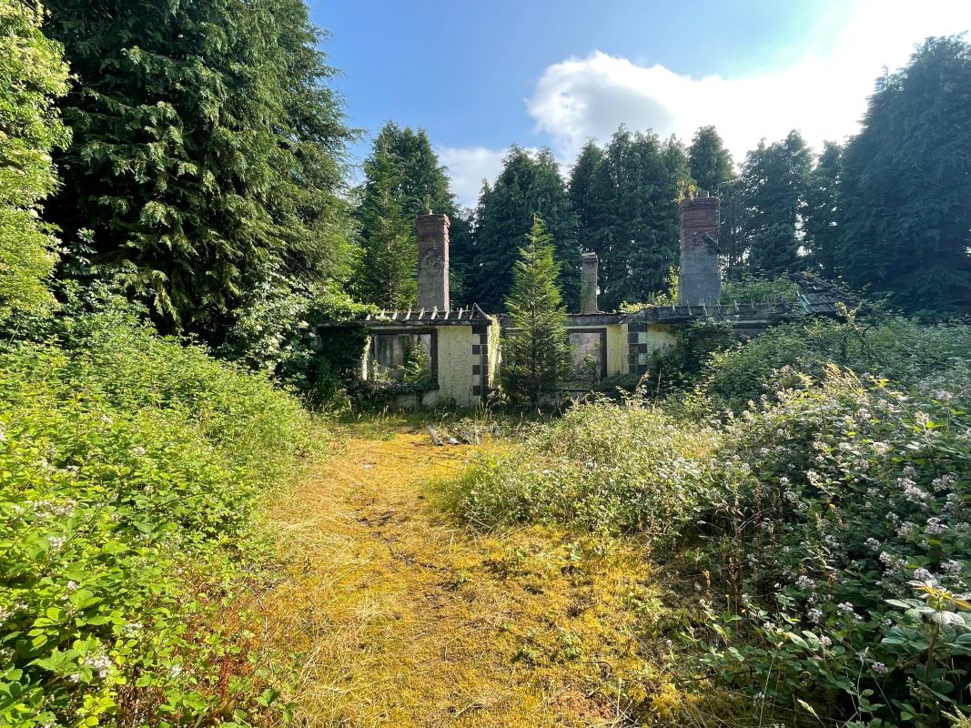 Lot Image