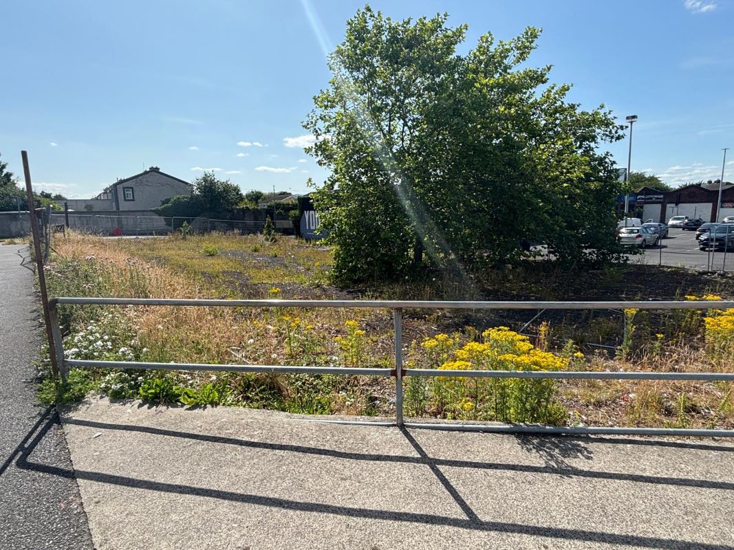 Primary Lot Photo