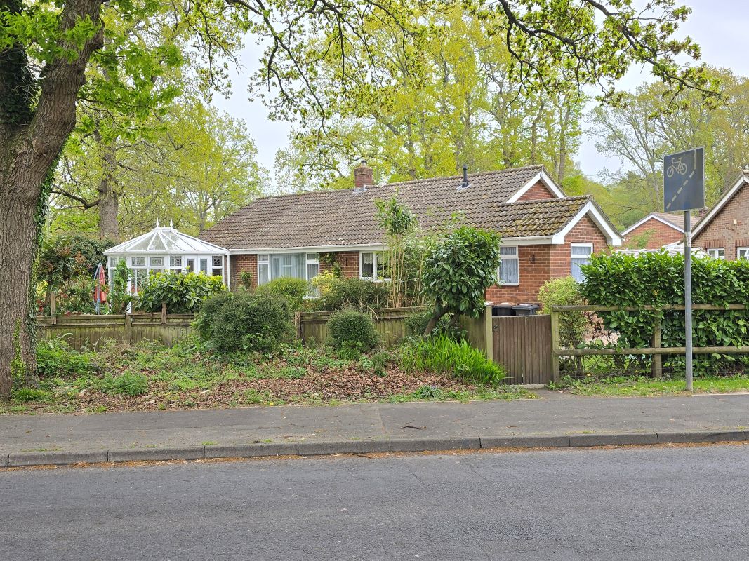 Image 6 of 21