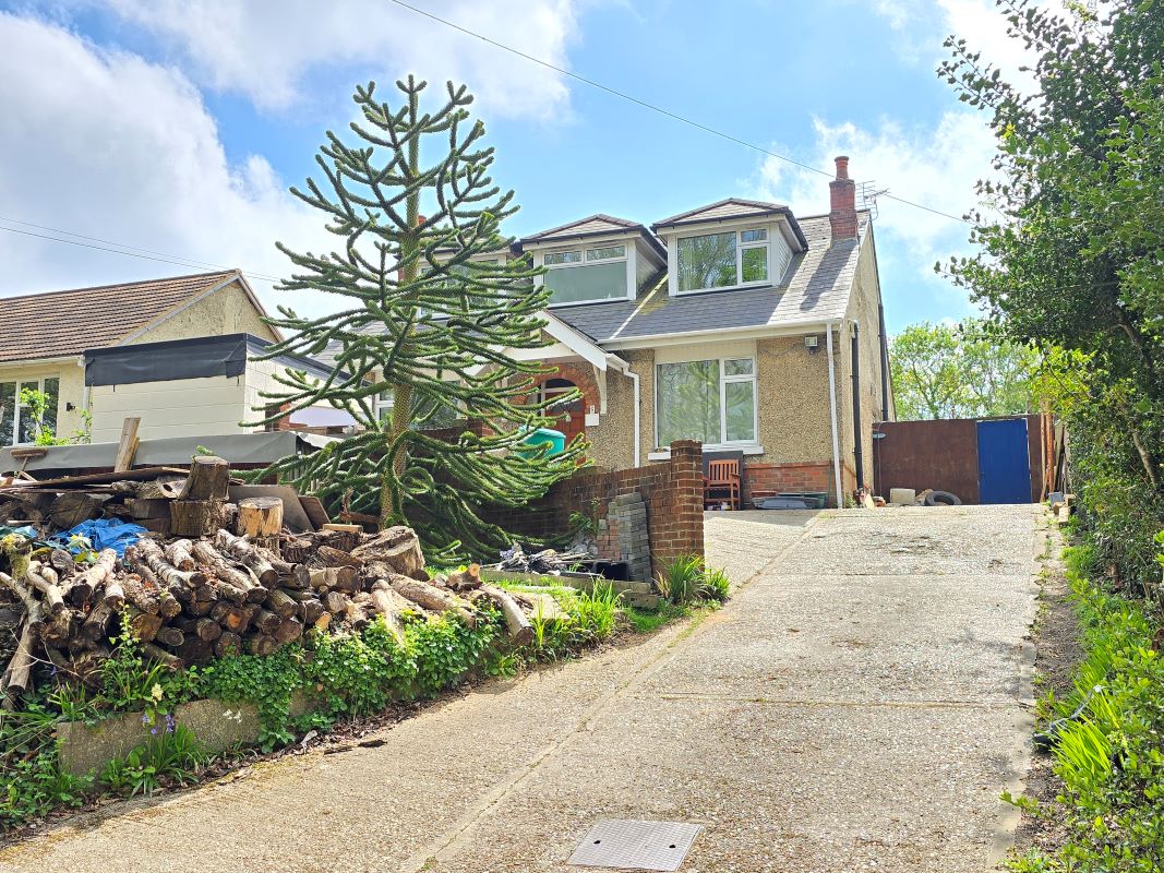 Image 10 of 21