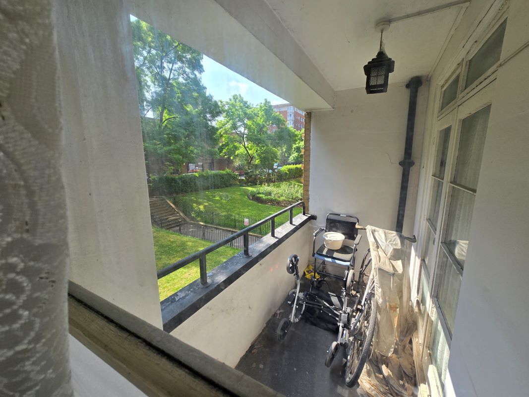 Image 12 of 12