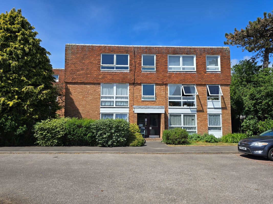 Image 1 of 11