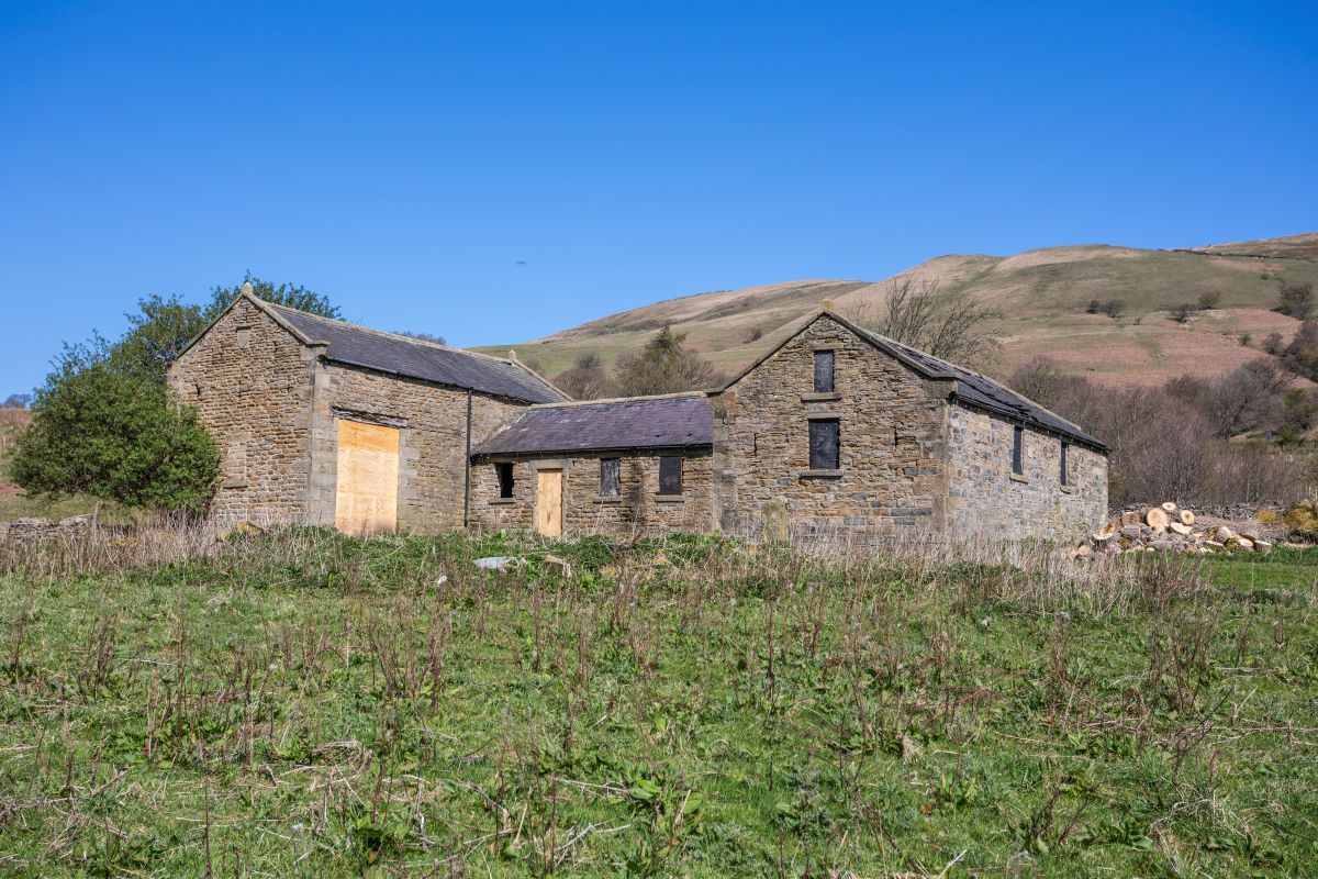 Image 11 of 11
