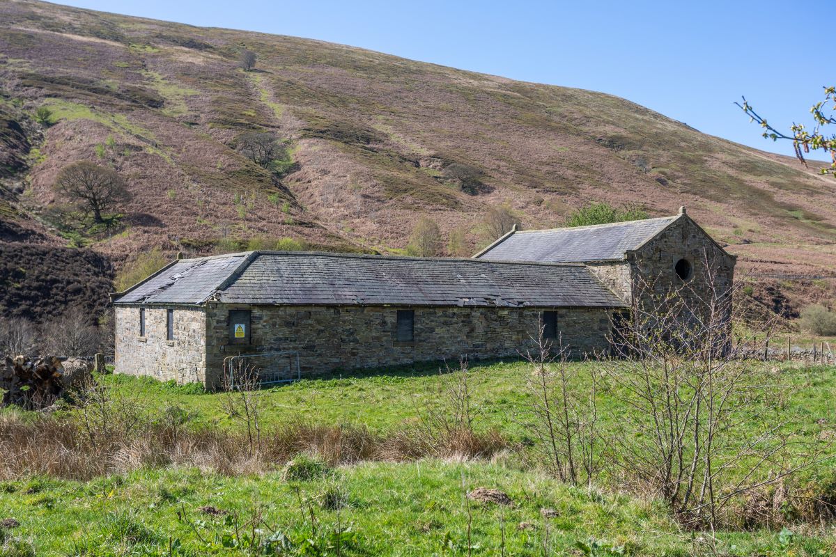 Image 9 of 11