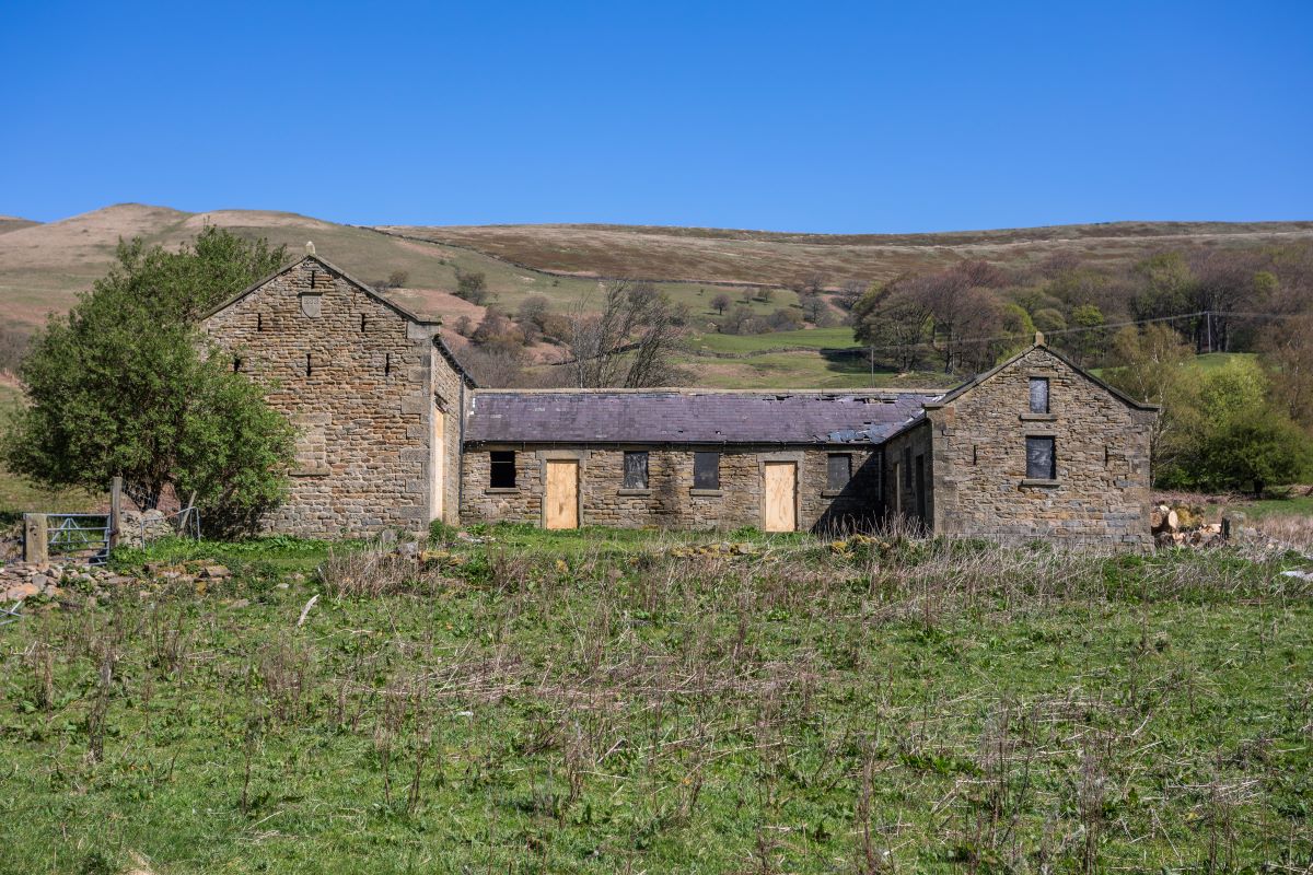 Image 10 of 11