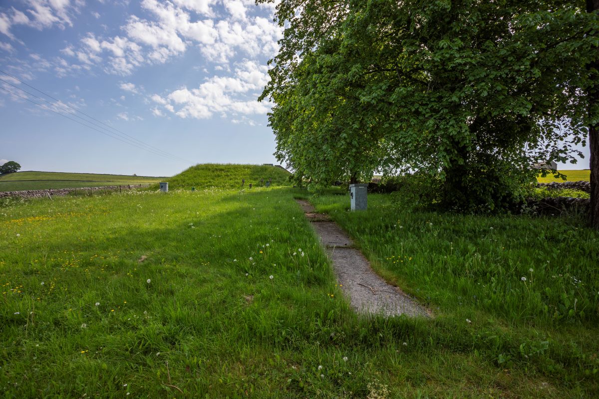 Image 6 of 14
